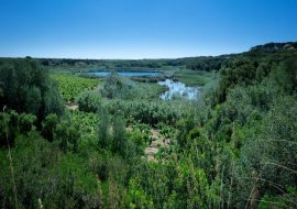 Réserves et espaces naturels Lac Preola et Gorghi Tondi