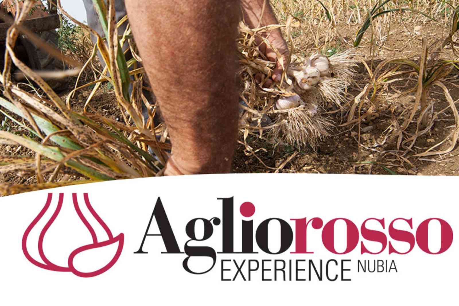 Nubia Red Garlic: the Experience starts on 12 June