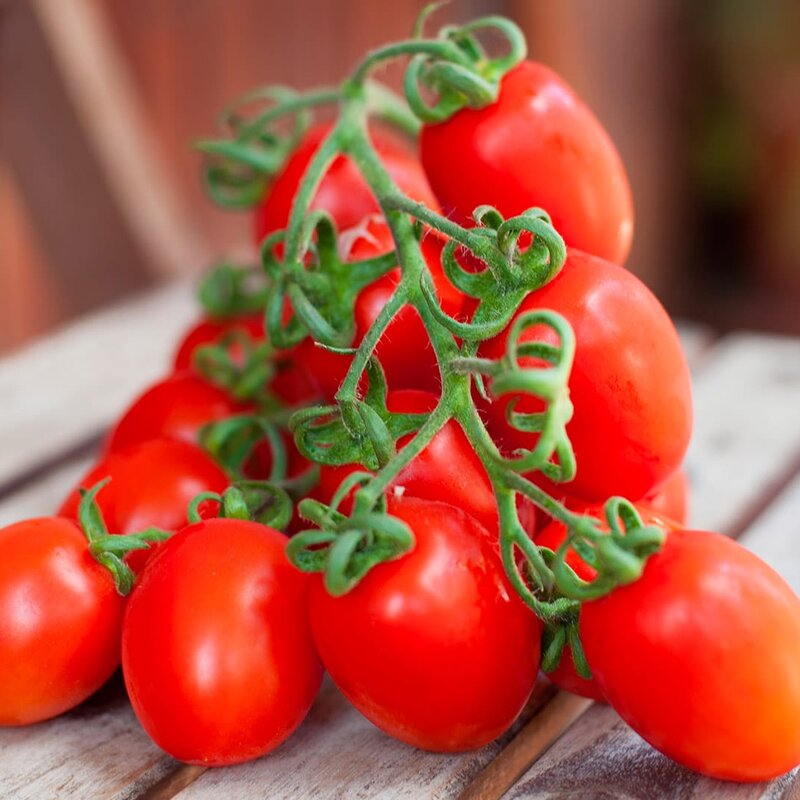 Pomodoro Pizzutello