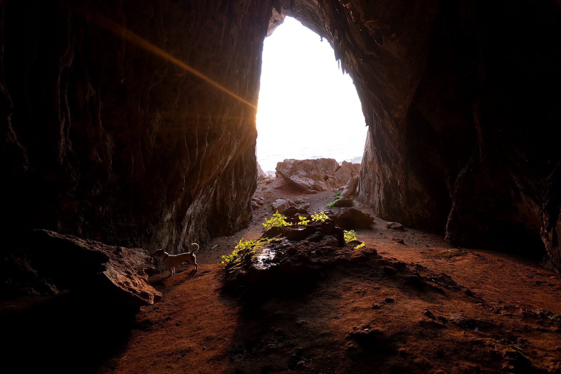 Grotta dei Cavalli