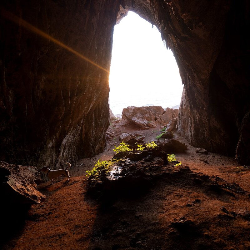 Grotta dei Cavalli