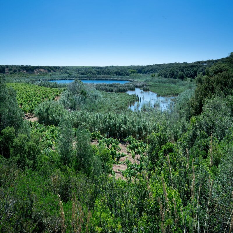 Lago Preola e Gorghi Tondi 