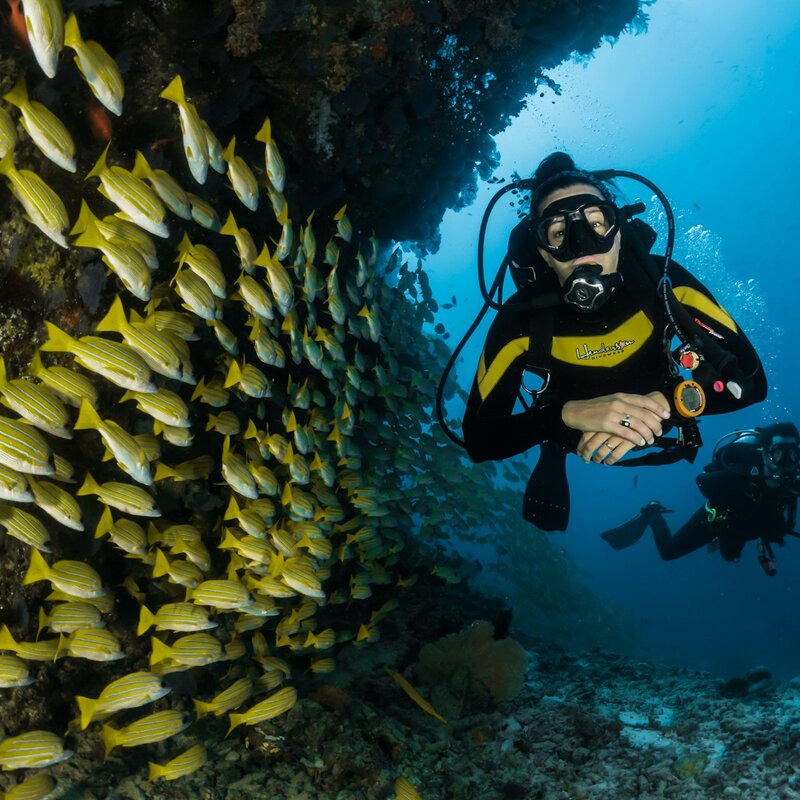 Musei sommersi: archeologia e diving