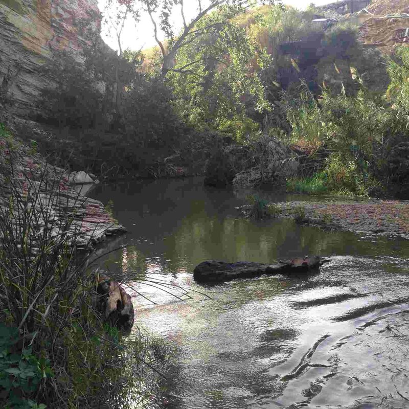 Les Thermes de Ségeste, dans le quartier de Ponte Bagni